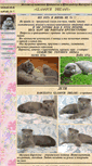 Mobile Screenshot of bri-vislaki.ru